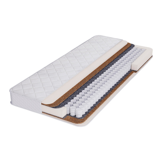 ������ Bambini Bloom. �������: X4287816